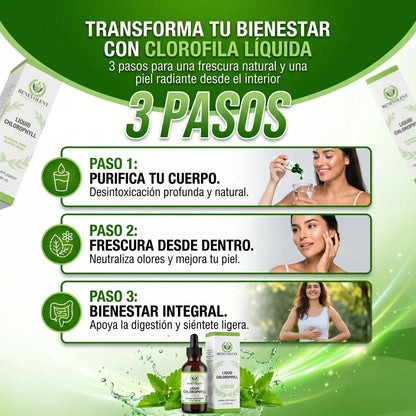 🟢 El secreto natural: Detox de Clorofila 100% Pura™ |