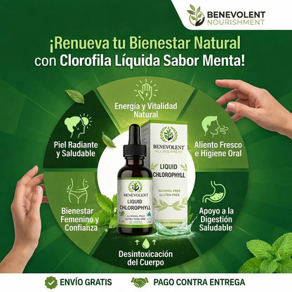 🟢 El secreto natural: Detox de Clorofila 100% Pura™ |