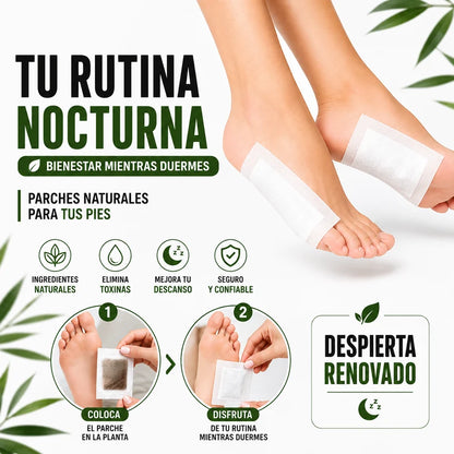 🌿 X10 Parches Kinoki™ | Bienestar y desintoxicación mientras duermes